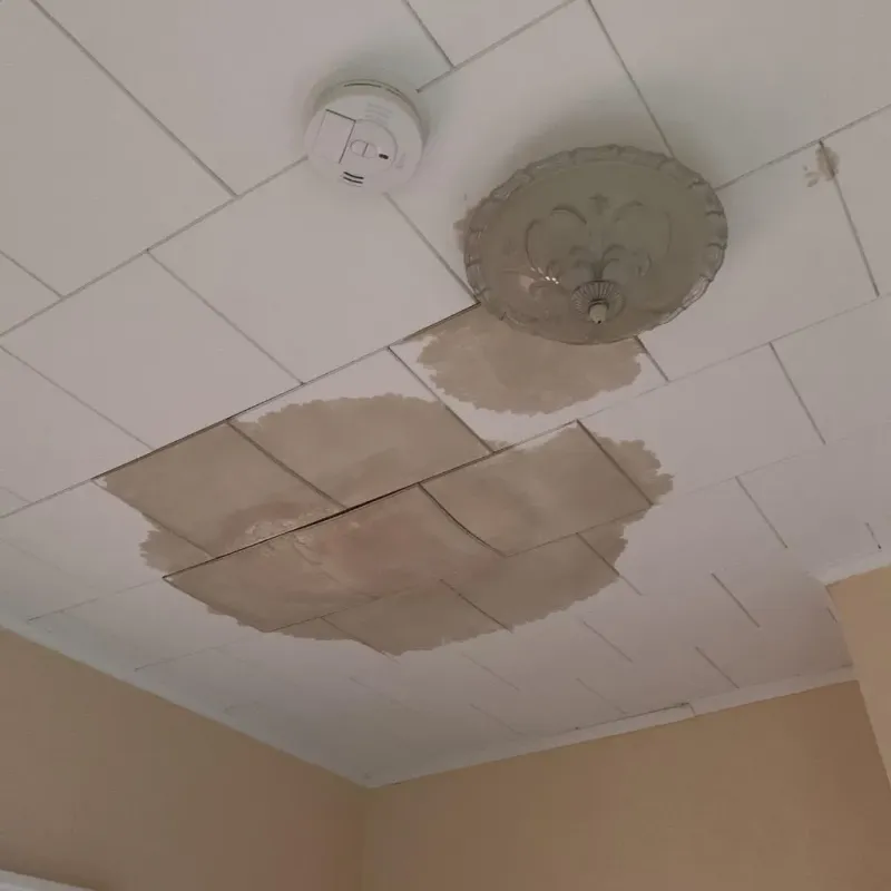 Ceiling Water Damage Repair in Stockton Springs, ME