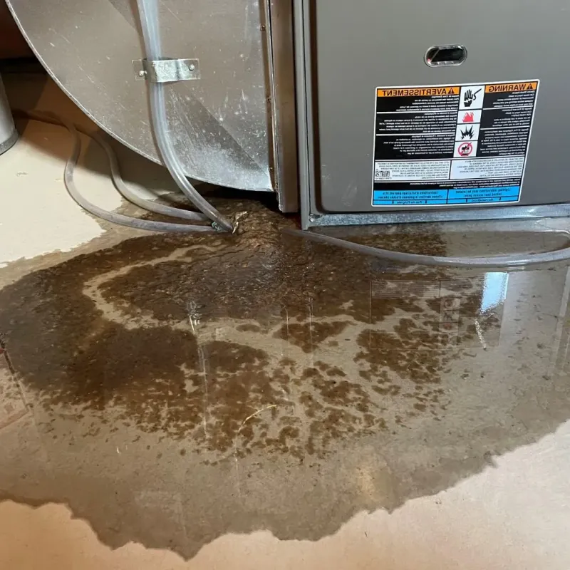 Pipe Burst and Leak Restoration in Stockton Springs, ME
